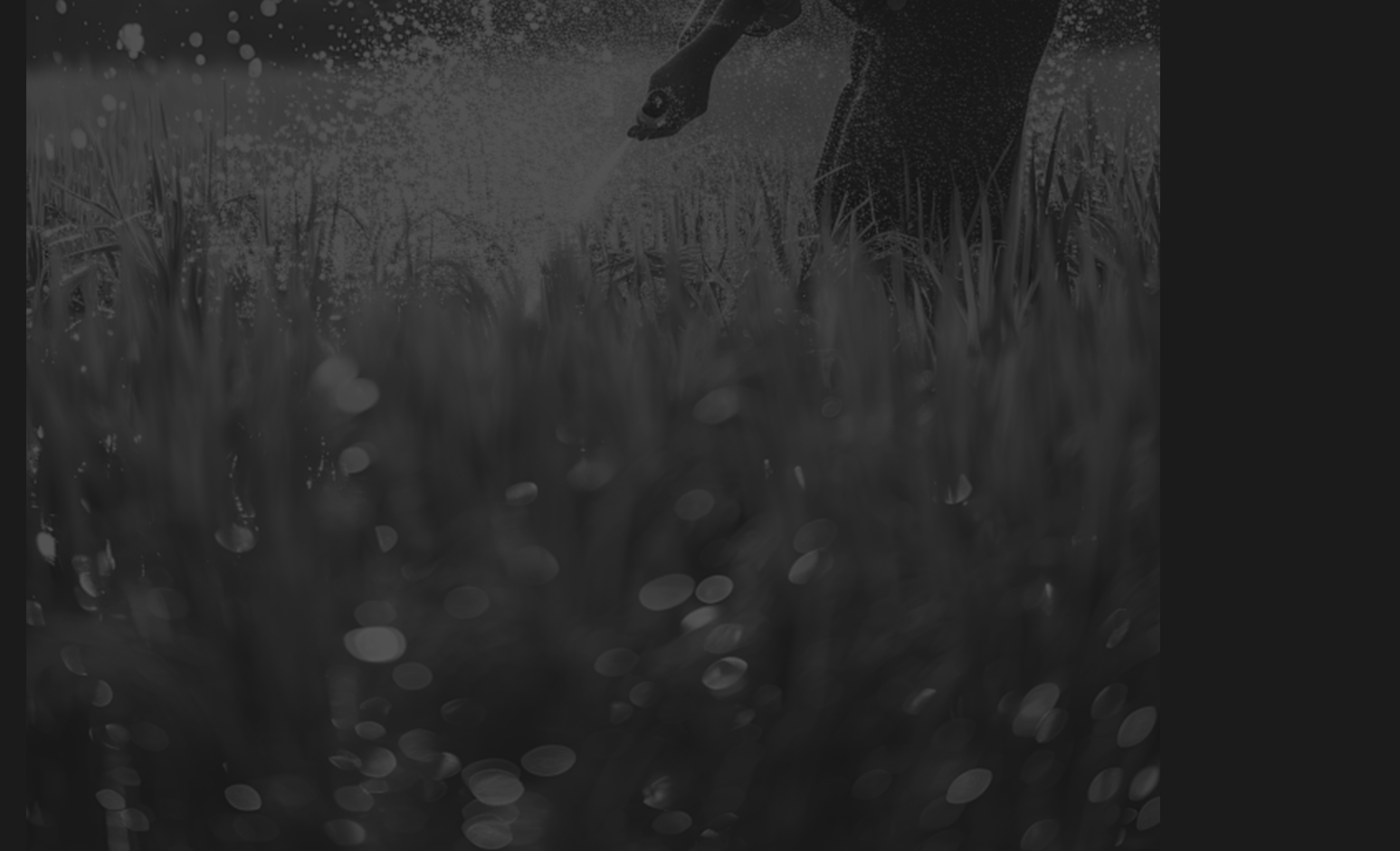 БЕНЗИНОВЫЙ ДВИГАТЕЛЬ