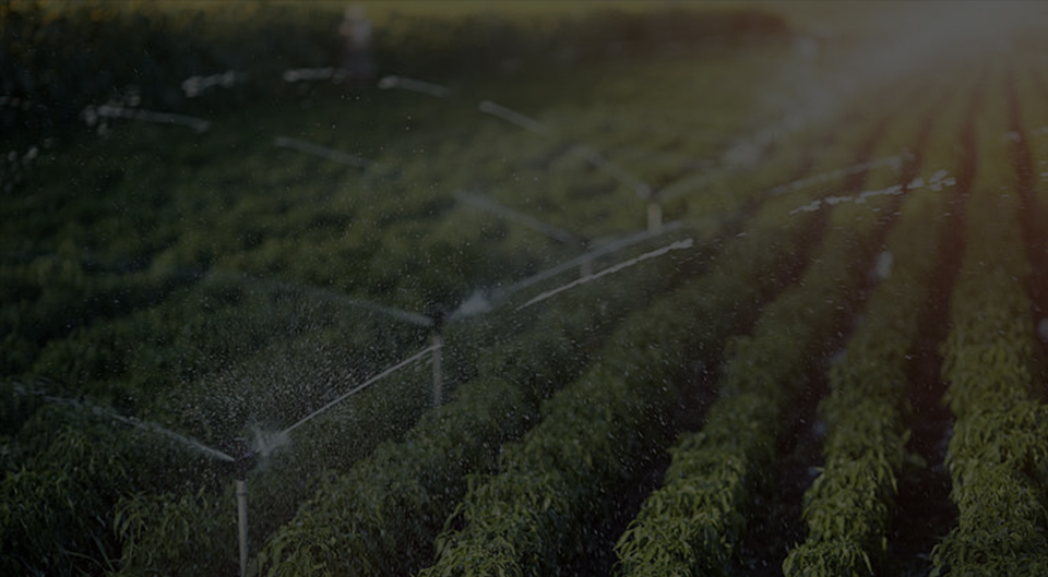 На что следует обратить внимание при покупке водяного насоса-распылителя?