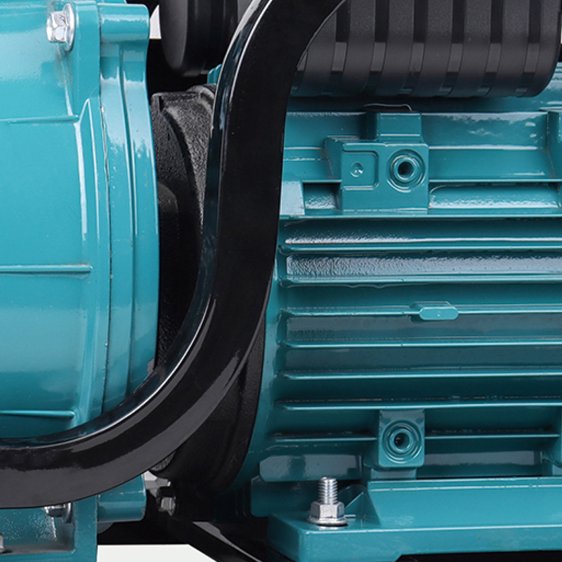 2/3/4-дюймовый электрический водяной насос для орошения в сельском хозяйстве