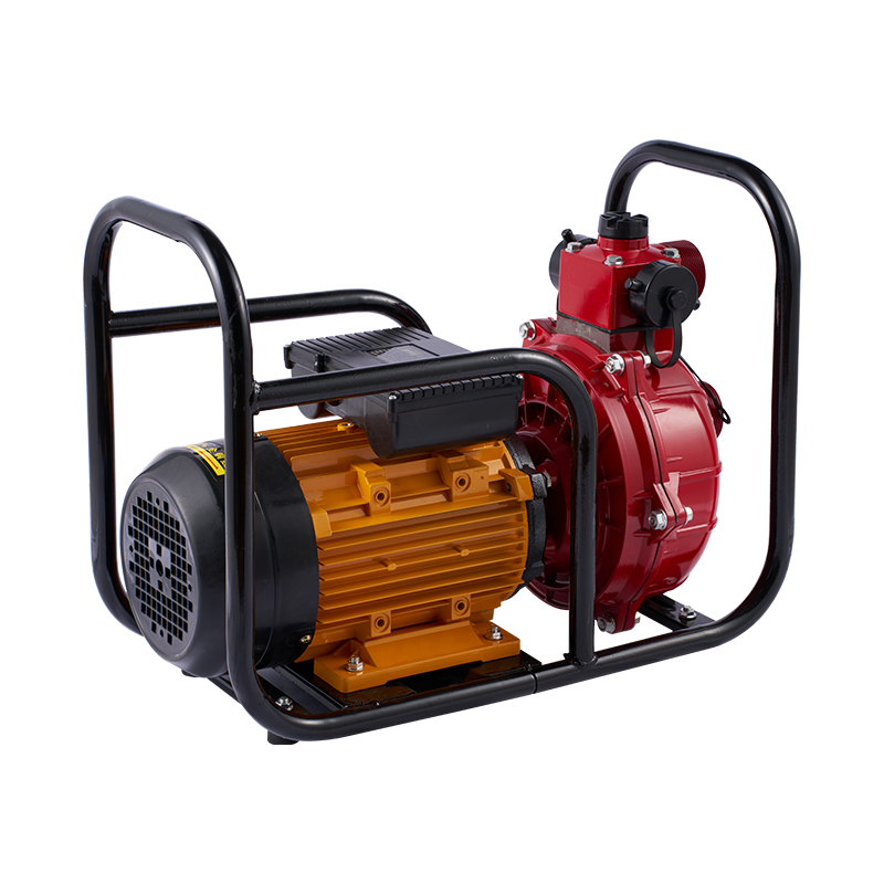 Водяная помпа двойной турбинки большой подачи электрическая для полива